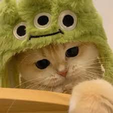 Rio Dewanto avatar